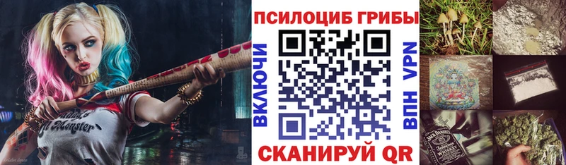 Купить закладки  Абдулино  Псилоцибиновые грибы ЛСД 
